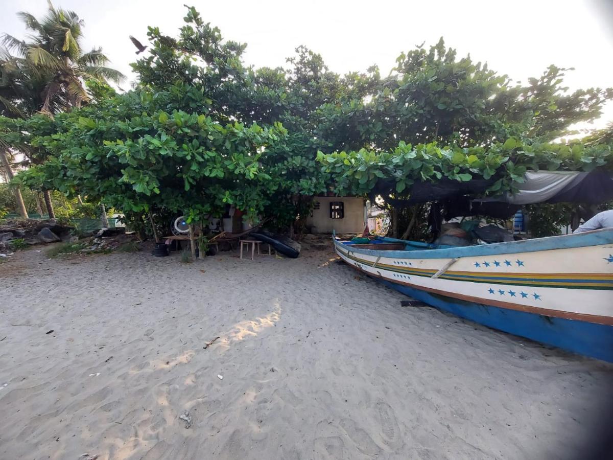 Beachcampers Only For Foreign Traveler'S Alappuzha ภายนอก รูปภาพ